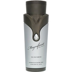 Magnificent pour Homme (Eau de Parfum)