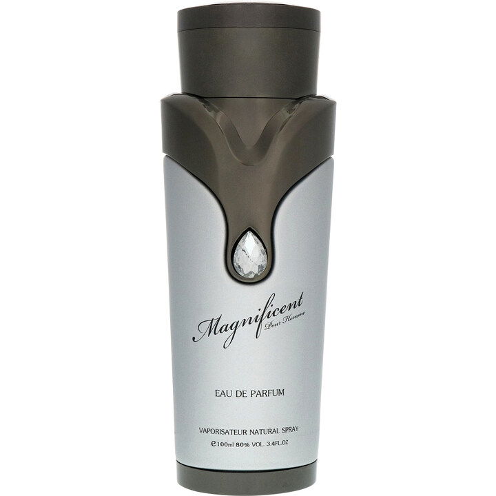 Magnificent pour Homme (Eau de Parfum) by Armaf