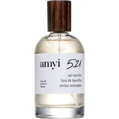 amyi 5.21 by amyi
