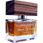 Orange Blossom by Thorn & Bloom