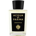 Osmanthus von Acqua di Parma