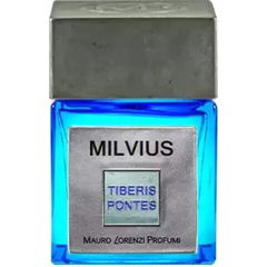 Tiberis Pontes - Milvius von Mauro Lorenzi
