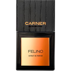 Felino von Carner