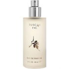 Tuscan Fig von Lisa Hoffman Beauty