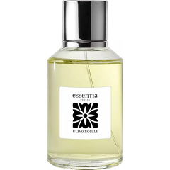 Ulivo Nobile von Essentia Puglia