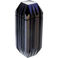 Oud Exquisite by Elegantes