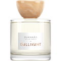 Bukhara von Gallivant