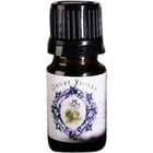 Ghost Violet by Amorphous