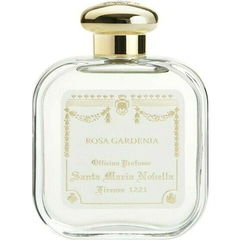 Rosa Gardenia von Santa Maria Novella