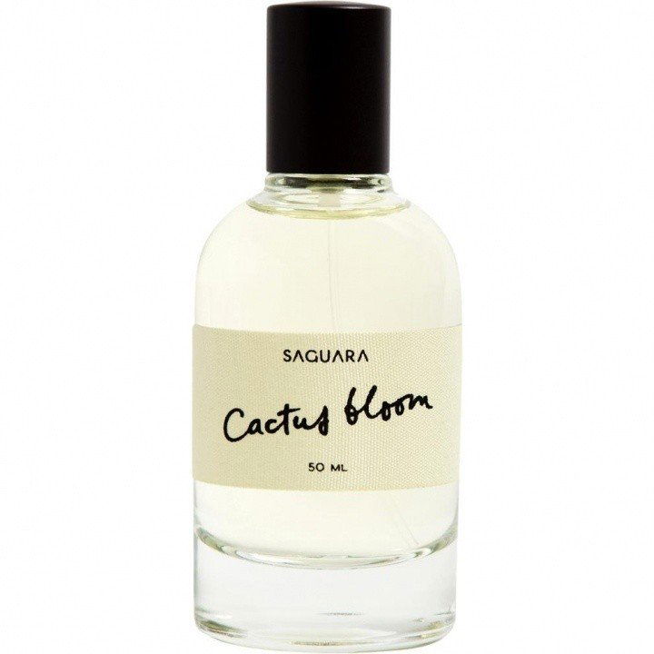 Cactus Bloom von Saguara