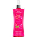 Pink Vanilla Kiss / Pink Vanilla Kiss Fantasy by Body Fantasies