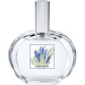 I Classici - Lavanda von Helan