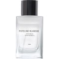 Popeline Blanche von Zara