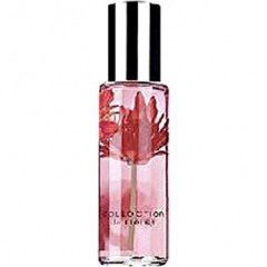 7 Anónimo by Loewe