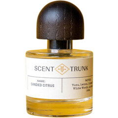 Candied Citrus by Scent Trunk Candied Citrus by Scent Trunk