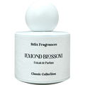 Lemond Blossom von Briix Fragrances