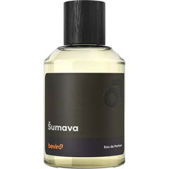 Šumava by Beviro