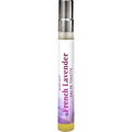 French Lavender by Maroma