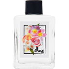 Allure von Lisa Hoffman Beauty