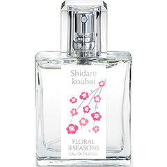 Shidarekoubai / しだれ紅梅 by Floral 4 Seasons