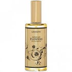 African Flowers by LaVolta