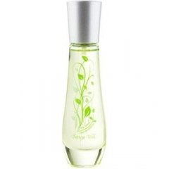 The Verde by Bottega Verde