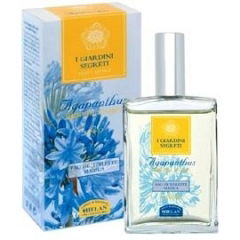 Lady's Maid by Werther and Gray Lady's Maid by Werther and Gray