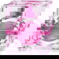 VV Rose von Roberto Verino