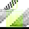 Spirit of Man Energized by Spirit