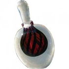 Temptress von JoAnne Bassett