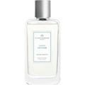 Ombre Vétiver von Plantes & Parfums