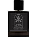 Mango Passion (Eau de Toilette) von Maison Chanceux
