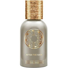 After the Rain by Cloud Fragrance