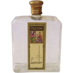 Old English Lavender von Faulding