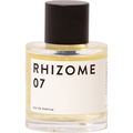 Rhizome 07 von Rhizome