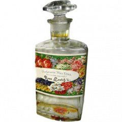Rose Centifolie von Ernst Colditz / Parfumerie Mia Vera