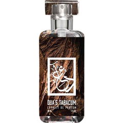 Dua's Tabacum by The Dua Brand / Dua Fragrances