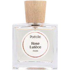 Rose Lutèce von Poécile