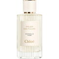 Magnolia Alba (Eau de Parfum)