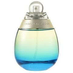 Beyond Paradíse Blue by Estēe Lauder