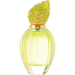 Hadaeq (2022) / حدائق by Junaid Perfumes