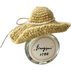 Frangipani 1588 / 雞蛋花和雪松 1588 by Fang