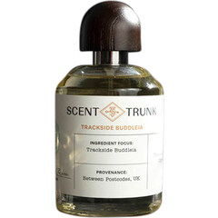 Trackside Buddleia by Scent Trunk