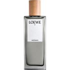 7 Anónimo by Loewe