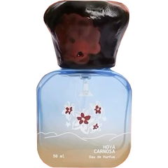 Hoya Carnosa von Tomolab