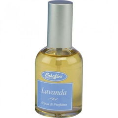 Lavanda von Erbaflor