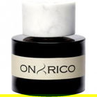 Michelangelo von Onyrico