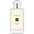 Midnight Musk & Amber