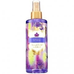 Exotic Bloom - Coconut Orchid & Musk von Victoria's Secret