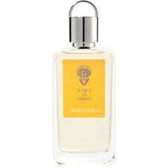 Osmanthus by Acqua di Stresa